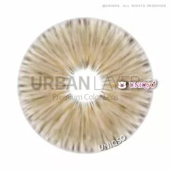 Couche Urbaine Gogh N Marron -Promos Anime Boutique 1 182f8642 0a36 4add 887c fcfc6805eb9d