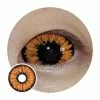 Cherie Sweety Orange Sclera Contacts - Elfe Orange / Phénix Noir