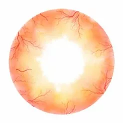 Cherie Sweety Sclera Contacts Ghost Sclera