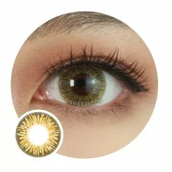 Kazzue Heavenly Tiramisu Marron