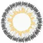 Barbie Hybride Grise