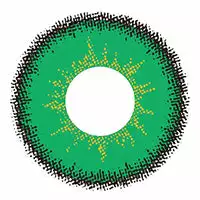 Cherie Sweety Max Vert 3 Cherie Sweety Max Vert – Image 3