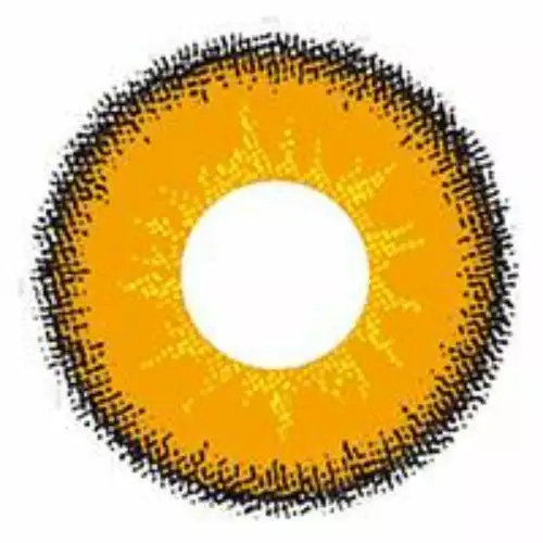 Cherie Sweety Max Marron 3 Cherie Sweety Max Marron – Image 3