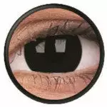 Couleurvue Colorvue Fou Store Noir