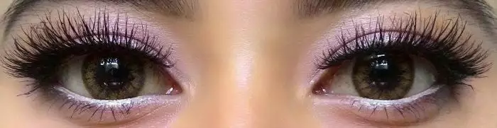 Couleurvue Colorvue Enthousiaste Boisé Marron 3 Couleurvue Colorvue Enthousiaste Boisé Marron – Image 3