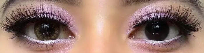 Couleurvue Colorvue Enthousiaste Boisé Marron 2 Couleurvue Colorvue Enthousiaste Boisé Marron – Image 2