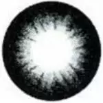 Dolly Eye Pop C Gris Foncé