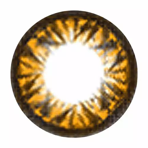 Couleur De Confiance Mensuelle MiaCare - 2 Tons 5 Couleur De Confiance Mensuelle MiaCare - 2 Tons – Image 5