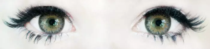 Yeux Occidentaux Western Eyes Nobluk Hydro Gris 5 Yeux Occidentaux Western Eyes Nobluk Hydro Gris – Image 5