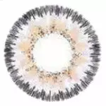 Yeux Occidentaux Western Eyes Nobluk Hydro Violet