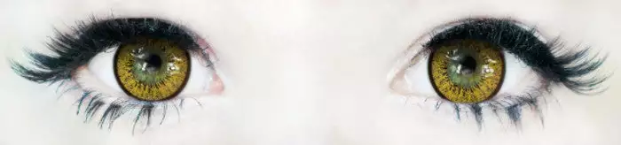 EOS New Adult Marron 2 EOS New Adult Marron – Image 2