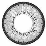 Kazzue Blytheye Gris 4 Kazzue Blytheye Gris – Image 4