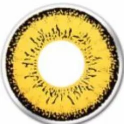 Chariot EOS Marron -Promos Anime Boutique EOS Dolly brown