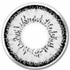 EOS Dolly Gris -Promos Anime Boutique EOS Dolly grey