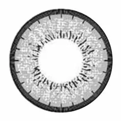 EOS New Adulte Gris -Promos Anime Boutique EOS new adult grey lens