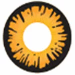 Cocon Coscon Fou Avec Puissance - Twilight Bella