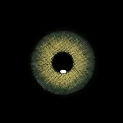 Cherie Sweety Magnifique Vert Amazonie -Promos Anime Boutique FA15 2 3