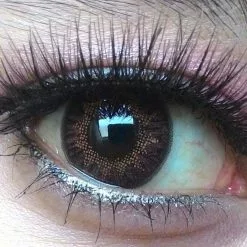 Flash Fée Bella Noisette