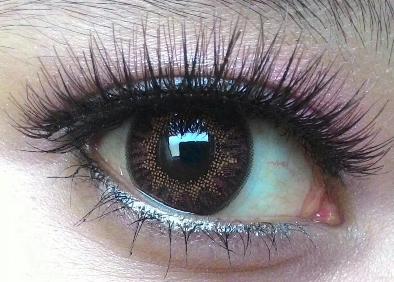 Flash Fée Bella Noisette 1 Flash Fée Bella Noisette