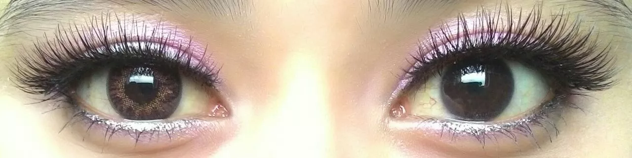 Flash Fée Bella Noisette 2 Flash Fée Bella Noisette – Image 2