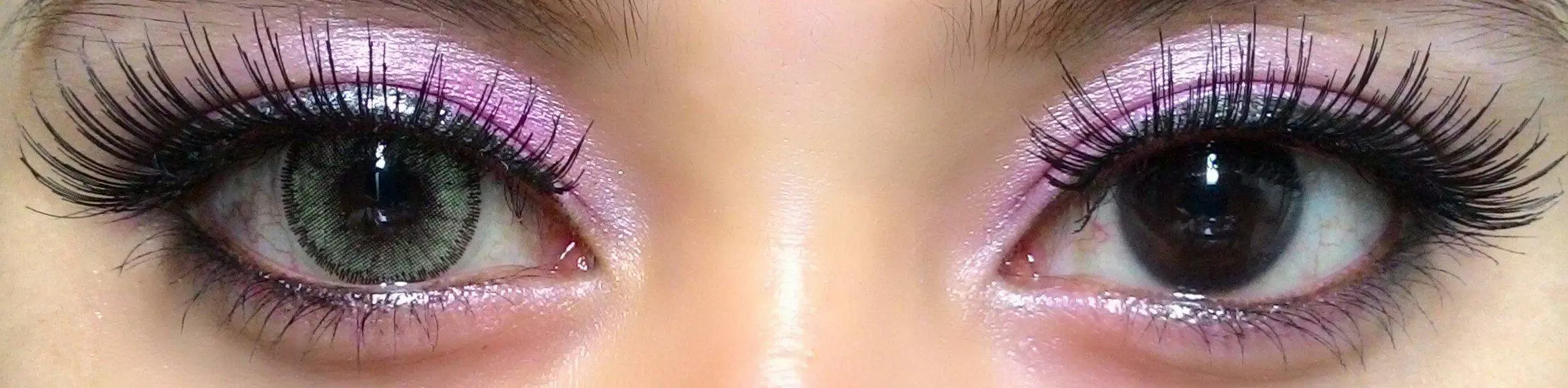 Tulipe à La Menthe Flash Elixor 2 Tulipe à La Menthe Flash Elixor – Image 2