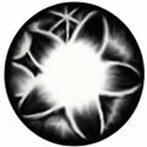 Kimchi Flore Gris 1 Kimchi Flore Gris