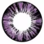 Barbie Forêt Violette