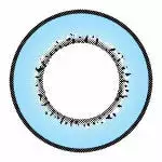 I.Fairy Moonlite Blue