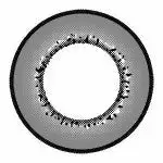 I.Fairy Moonlite Grey