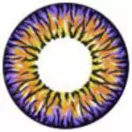 I.Fairy Casper Marron