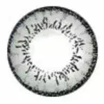 Poupée Barbie+ Gris