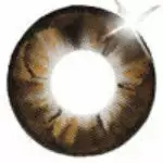 I.Fairy Eclipse Marron