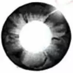 I.Fairy Eclipse Gris