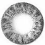 I.Fairy Super Cristal Gris