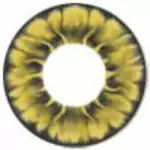 I.Fairy I.Fée Tofi Or