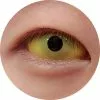 Cherie Contacts Sweety Yellow Sclera