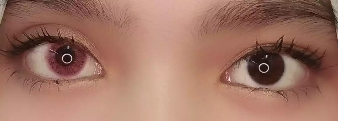 EOS Fluffy Rose 3 EOS Fluffy Rose – Image 3