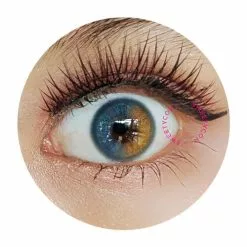 Cherie Bleu Miel Doux