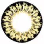 Kawayii S-Max Marron