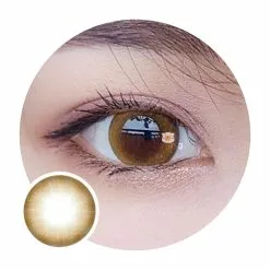 Crosse Kazzue Toric Legato Brown Ready