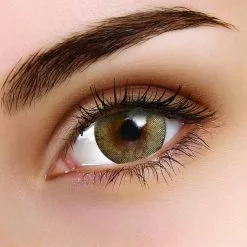 Tulipe à La Menthe Flash Elixor