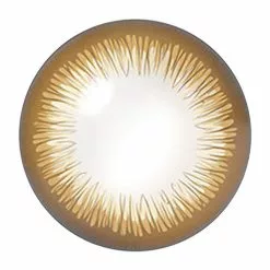 Acuvue Define Radiant Chic 1 Jour - 30 Pièces -Promos Anime Boutique Radiant chic lens