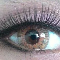 Yeux Occidentaux Western Eyes Marron Frozen -Promos Anime Boutique Sweety Frozen brown a