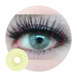 Oeil Occidental Western Eye Spatax Marron