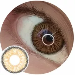 Couche Urbaine Almaty Marron