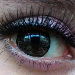 Barbie Clovis Marron 7 Barbie Clovis Marron -Promos Anime Boutique barbie clovis brown a 95fcc604 2b49 47d1 bdd9 d00405b0143c