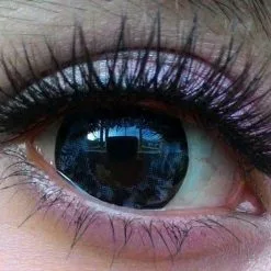 Barbie Diamant 2 Tons Violet -Promos Anime Boutique barbie diamond 2 tones violet a a9280163 7de6 4718 a6af bdb80fbe3dee