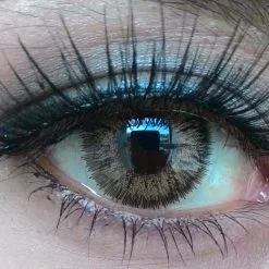 Barbie Hybrid Marron -Promos Anime Boutique barbie hybrid brown a b49c69bb 0915 4499 8536 e501fd40018c