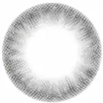 Barbie Secret Kiss Gris