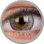 Couleurvue Colorvue Fizzy Champagne Argent